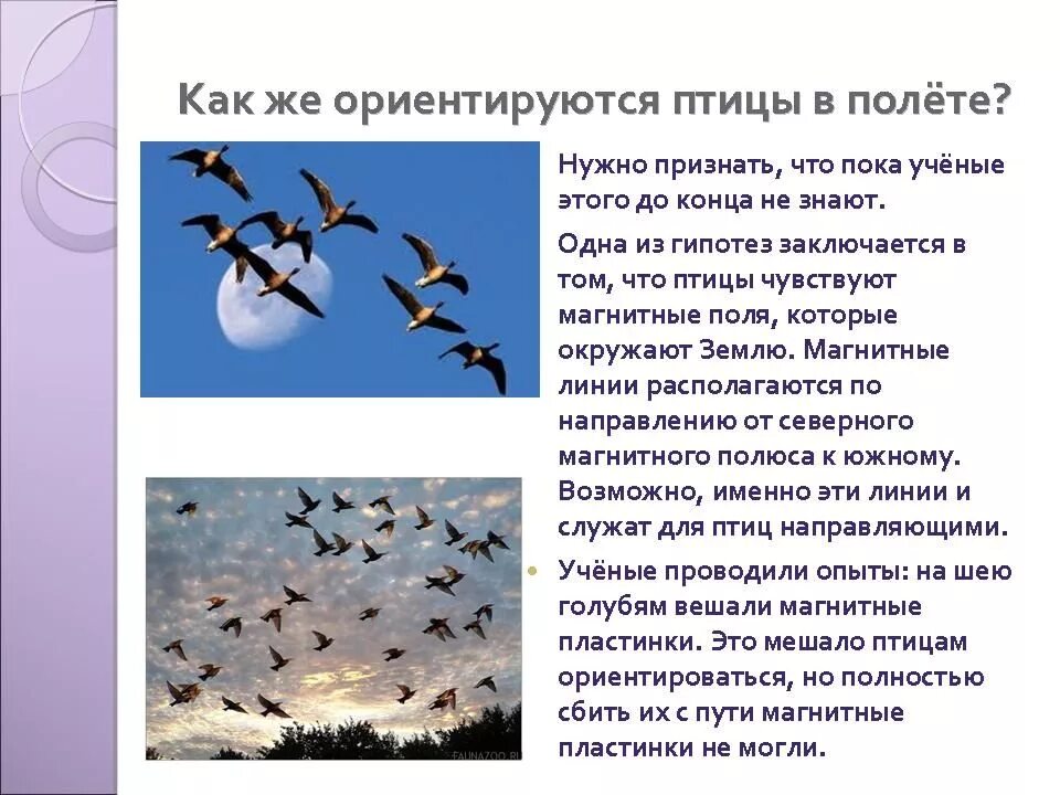 Улетели какое время