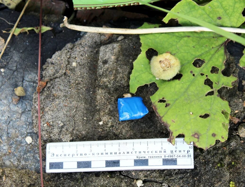 Места возможной закладки взрывных устройств. Укажите наиболее вероятные места закладки. Плакат возможные места установки взрывных устройств. Укажите наиболее вероятные места закладки. Закладки на улице.