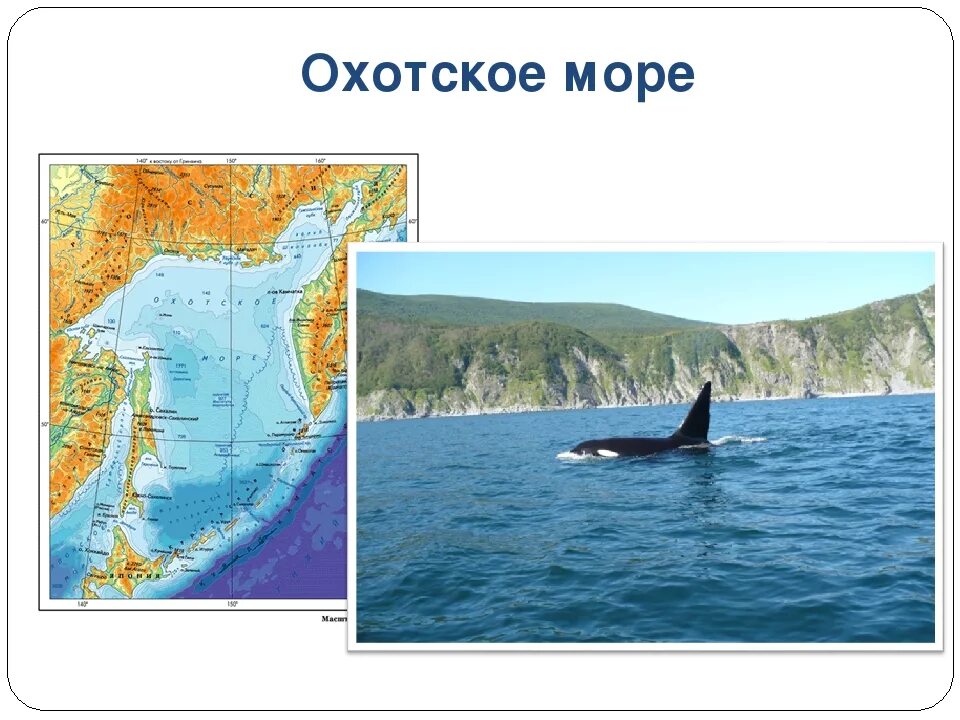 Охотское море. Охотское море Россия. Охотское море Сахалин. Охотское море презентация.