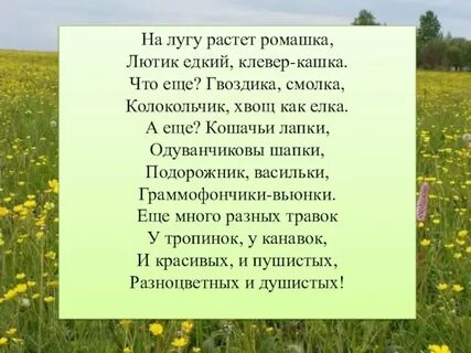 Лютики васильки песня текст