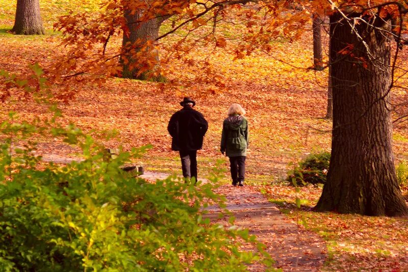 Прогулка по аллее. Осень жизни. двое в осеннем лесу. человек в осеннем лесу. люди на осенней аллее.