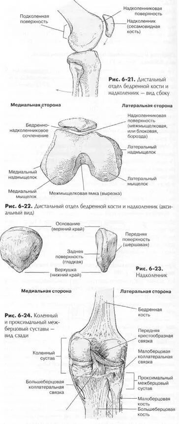 Вывих надколенника код мкб 10