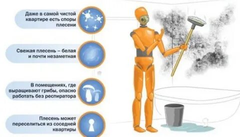Обработка стен купоросом от плесени