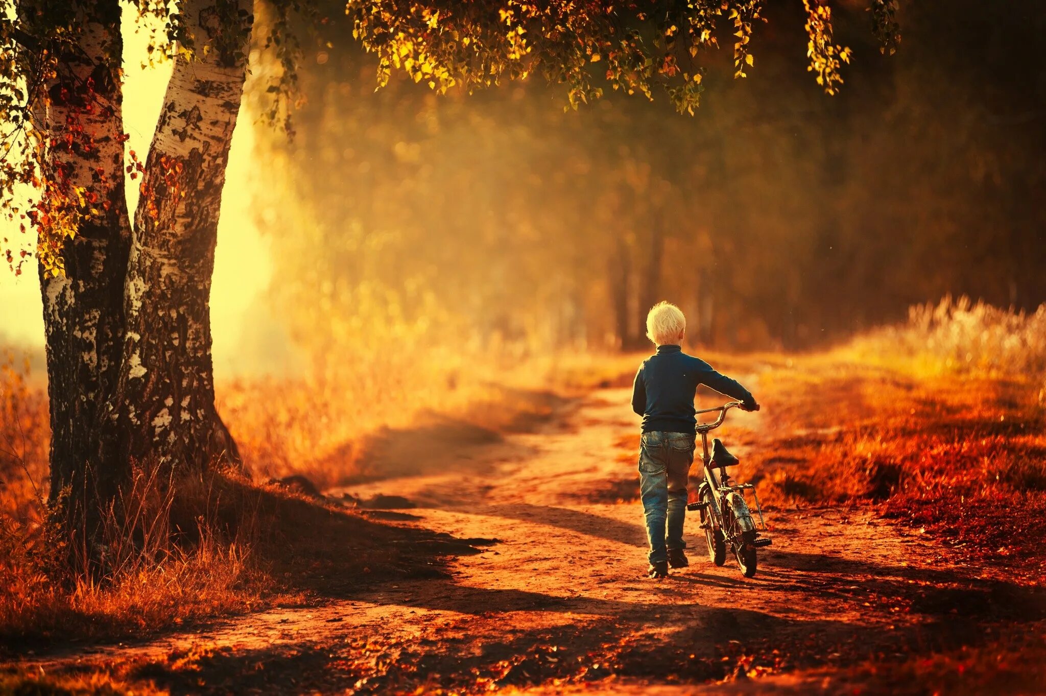 Круг по осенней дороге домой. Осень дорога человек. Осенняя прогулка на велосипеде. Велосипедисты дети осень. Осенняя фотосессия парень с велосипедом.