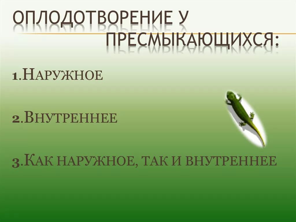 Оплодотворение у пресмыкающихся происходит в воде. Рептилии оплодотворение внутреннее или наружное. оплодотворение у пресмыкающихся. оплодотворение у пресмыкающихся наружное. у пресмыкающихся оплодотворение внутреннее и наружное.