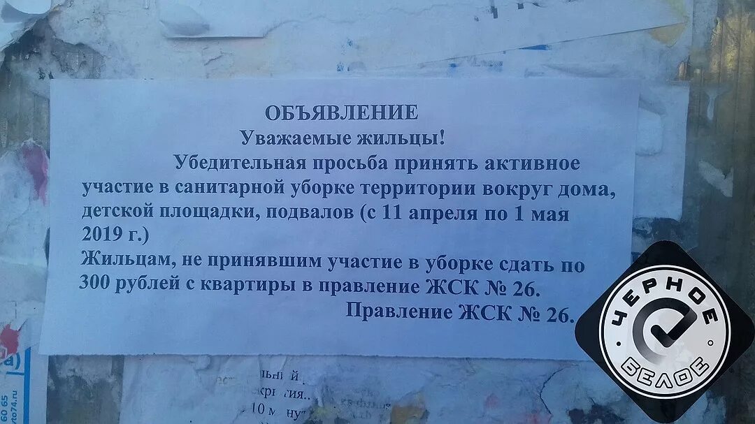 Сбор по поводу. Объявление жильцам дома. Объявление о субботнике в подъезде. Объявление для жильцов дома. Объявление об уборке придомовой территории.