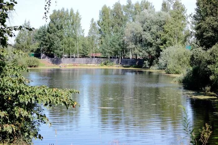 Самаровское озеро королев затопленный экскаватор. Самаровское озеро королев. Самаровское озеро московская область. Самарское озеро королев. Самаровское озеро королев затопленный экскаватор.