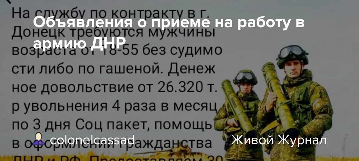 Военный контракт днр. Армия днр контракт. Служба в армии днр. Служба по контракту в днр. Набор добровольцев в армию.