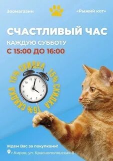 Магазин рыжий кот