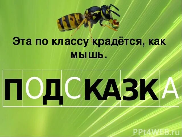 А эта по классу крадется как мышь. Это по классу крадется как мышь. эта по классу крадется как мышь. а эта по классу крадется как мышь ответ. оса по классу крадётся как мышь.