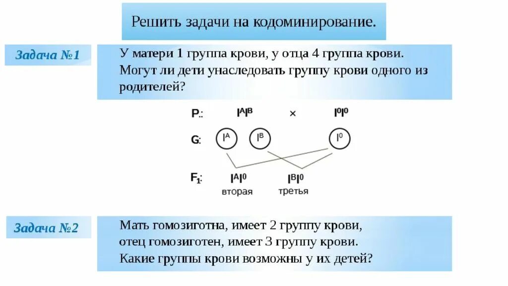 Задачи на кодоминирование группы крови. Кодоминирование на примере групп крови. Генетические задачи по биологии на группу крови. Решение задач по генетике на кодоминирование с решением. Доминирование групп крови