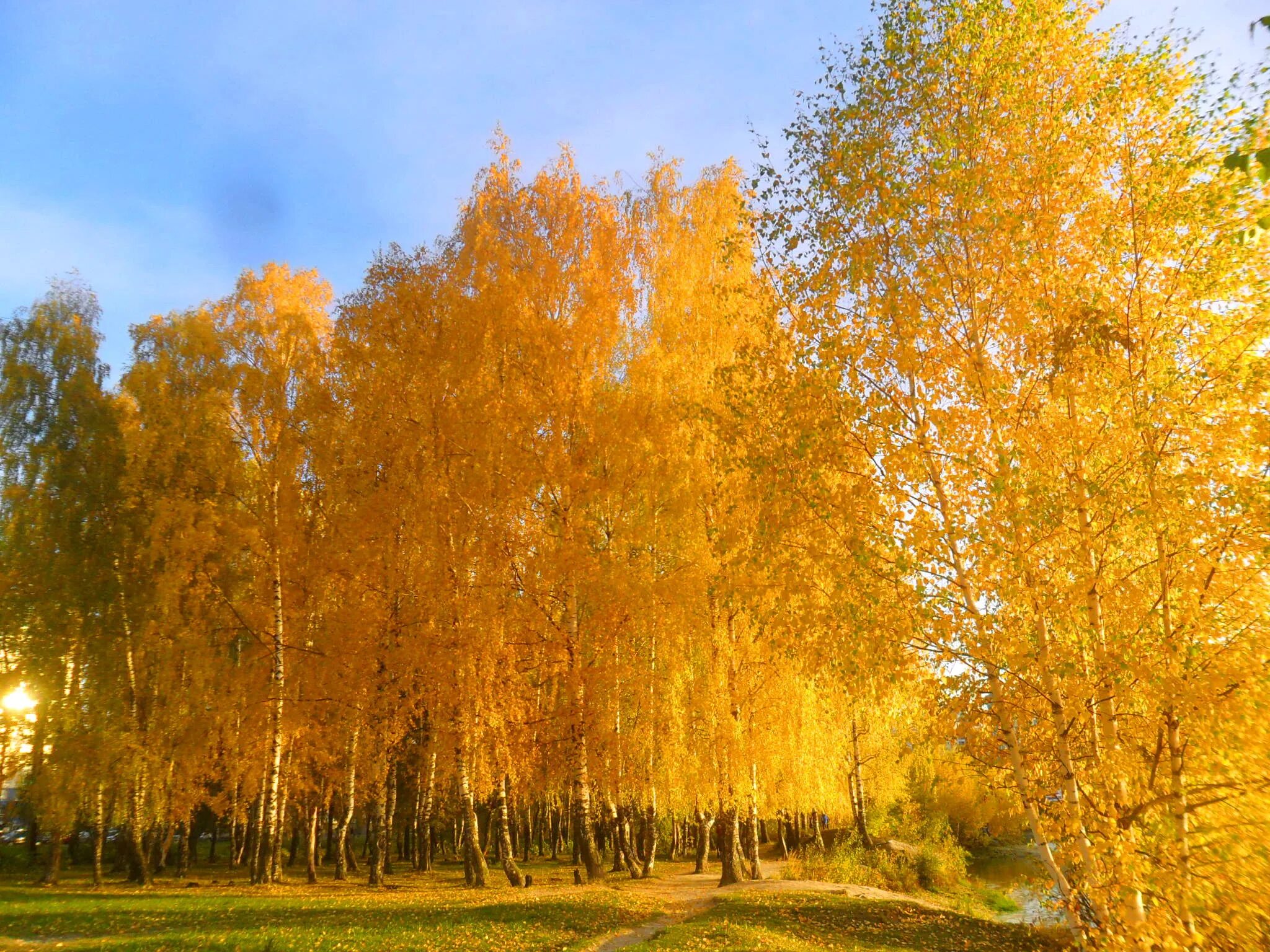 Последние золото осени