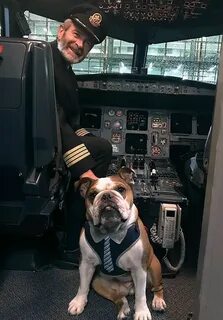 Pilot animal