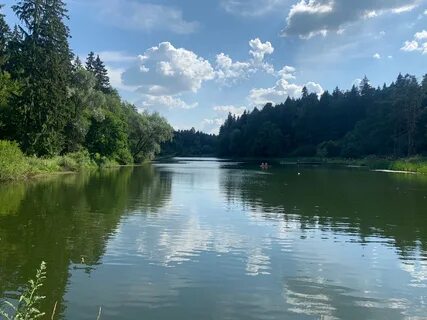 Лесное озеро солнечногорский
