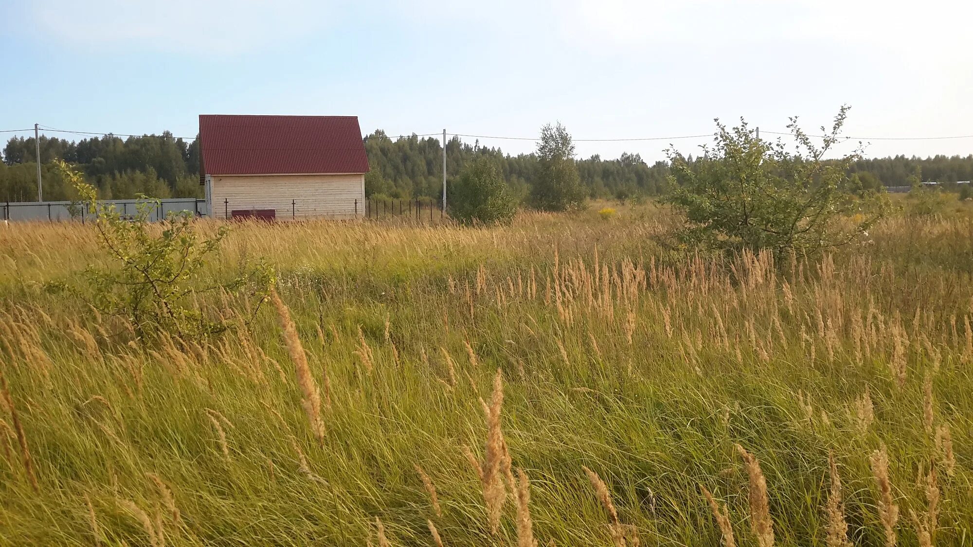 Газ в кукушкино владимирской области. Деревня кукушкино. Владимирская область, петушинский район, д. Деревня кабацкое ломоносовский район. Деревня кукушкино владимирская область.