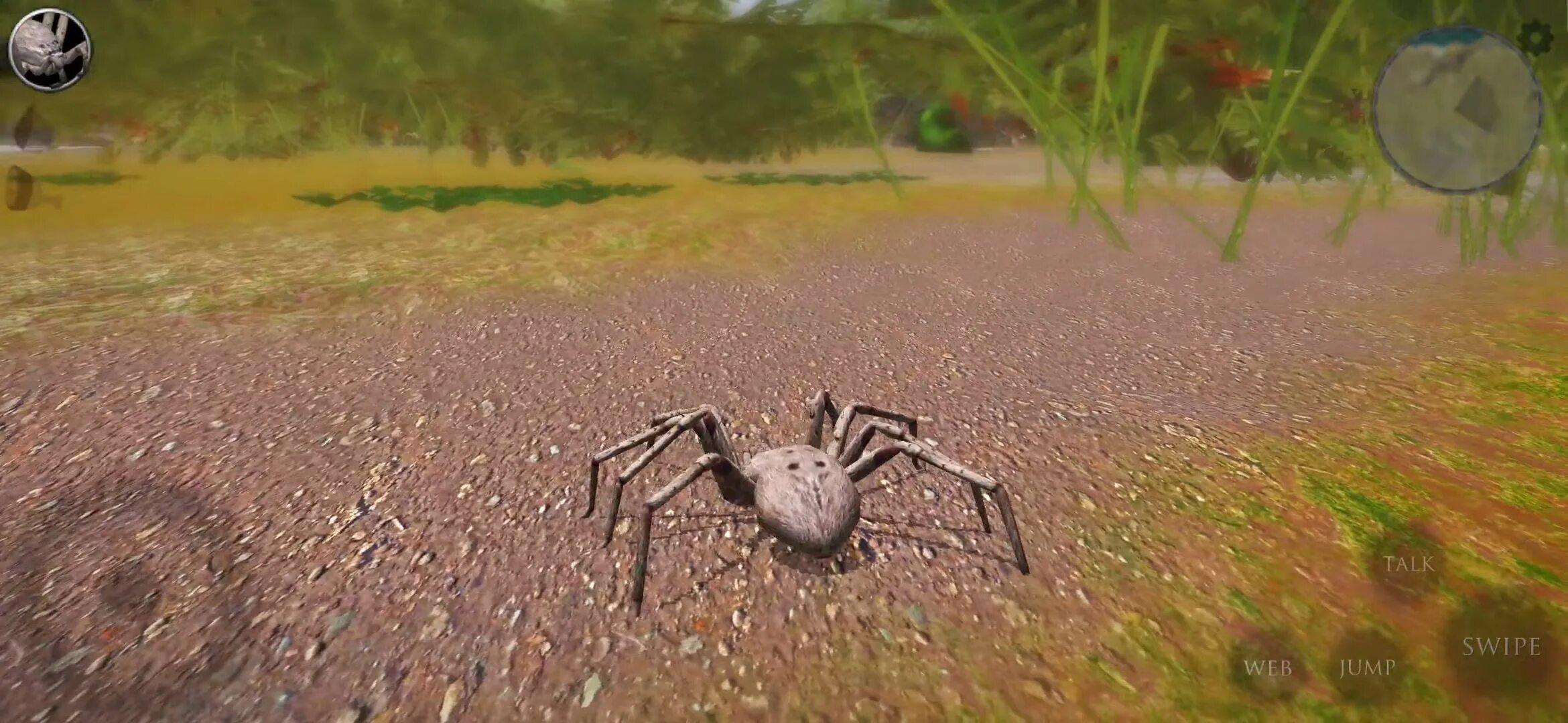 Симулятор паук 2. Игра ultimate spider 2 simulator малыш. Симулятор муравья паук. Симулятор паук 2. Игра про гигантских пауков.