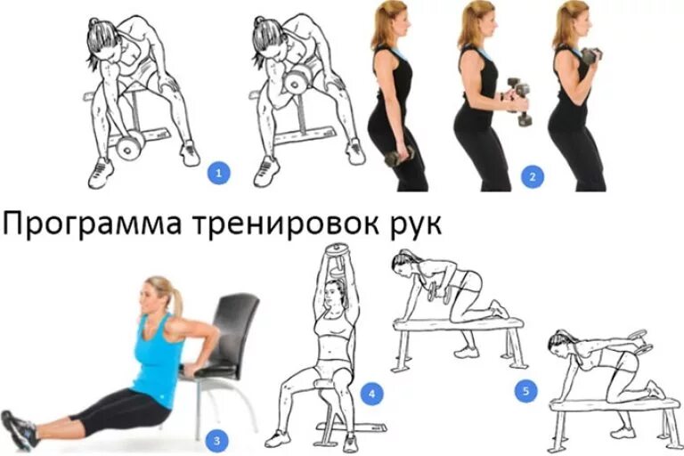 Программа для спины для девушек. Упражнения в тренажерном зале для девушек. упражнения на руки в тренажерном зале. упражнения на руки в зале для девушек. упражнения на руки для девушек в тренажерном.