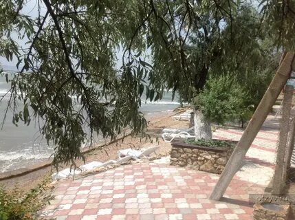 Погода курортное керчь