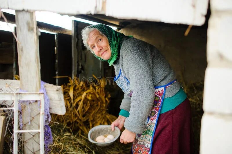 Курятник старинный. Деревенские куры. Кормить кур. Бабка в курятнике. Человек в курятнике.