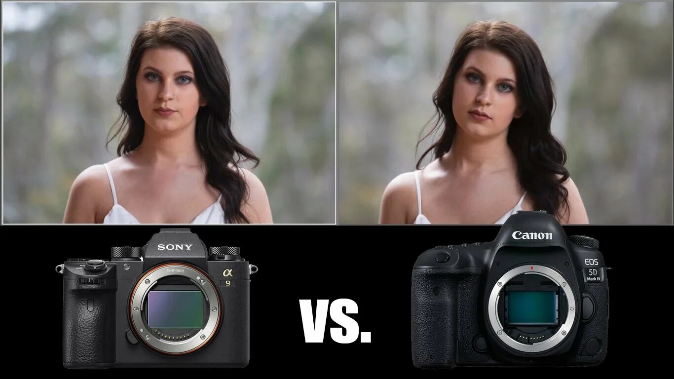 Sony canon сравнение. Sony a7 vs Canon 5d Mark II. Canon 5d vs 5d Mark II. Canon Sony a7iii. Canon r6 vs Canon EOS 90 D.