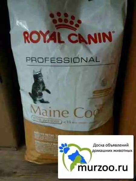 Роял канин киттен мейн кун корм. Корм роял канин для мейн кунов. Роял канин мини эдалт 0,8кг. Корм роял канин для мейн кунов. Royal canin для сиамских кошек.