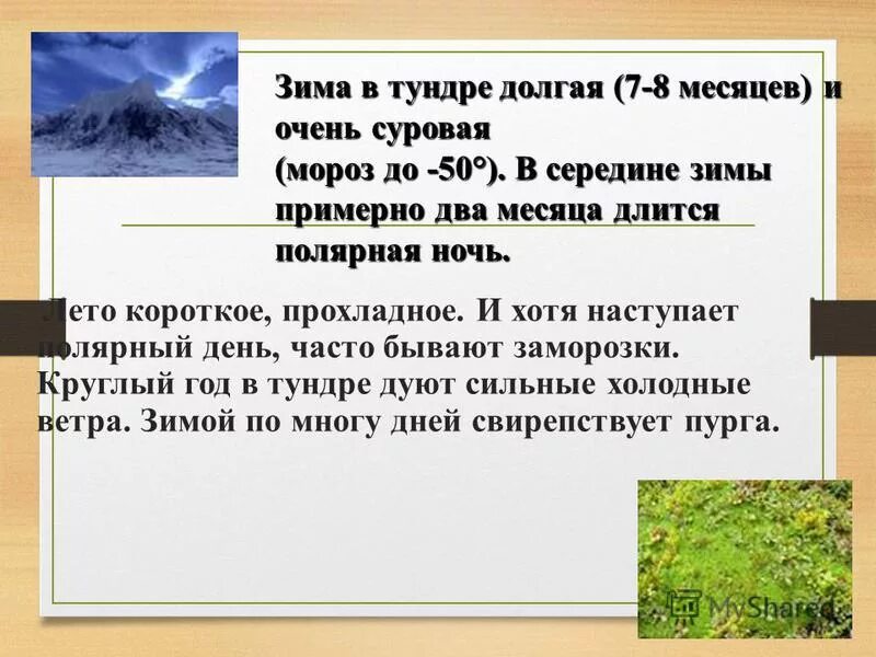 Дать характеристику природной зоне тундра