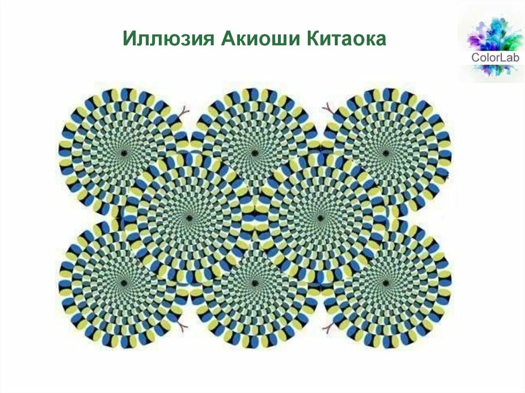 Зрительные иллюзии Акиоши Китаока. Японский психиатр Акиоши Китаока. Иллюзии психиатра Акиоши Китаока. Оптическая иллюзия Акиоши Китаока.