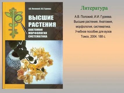 Анатомия растений морфология систематика физиология палеоботаника экология