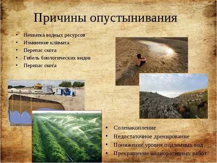Какая проблема пустыни