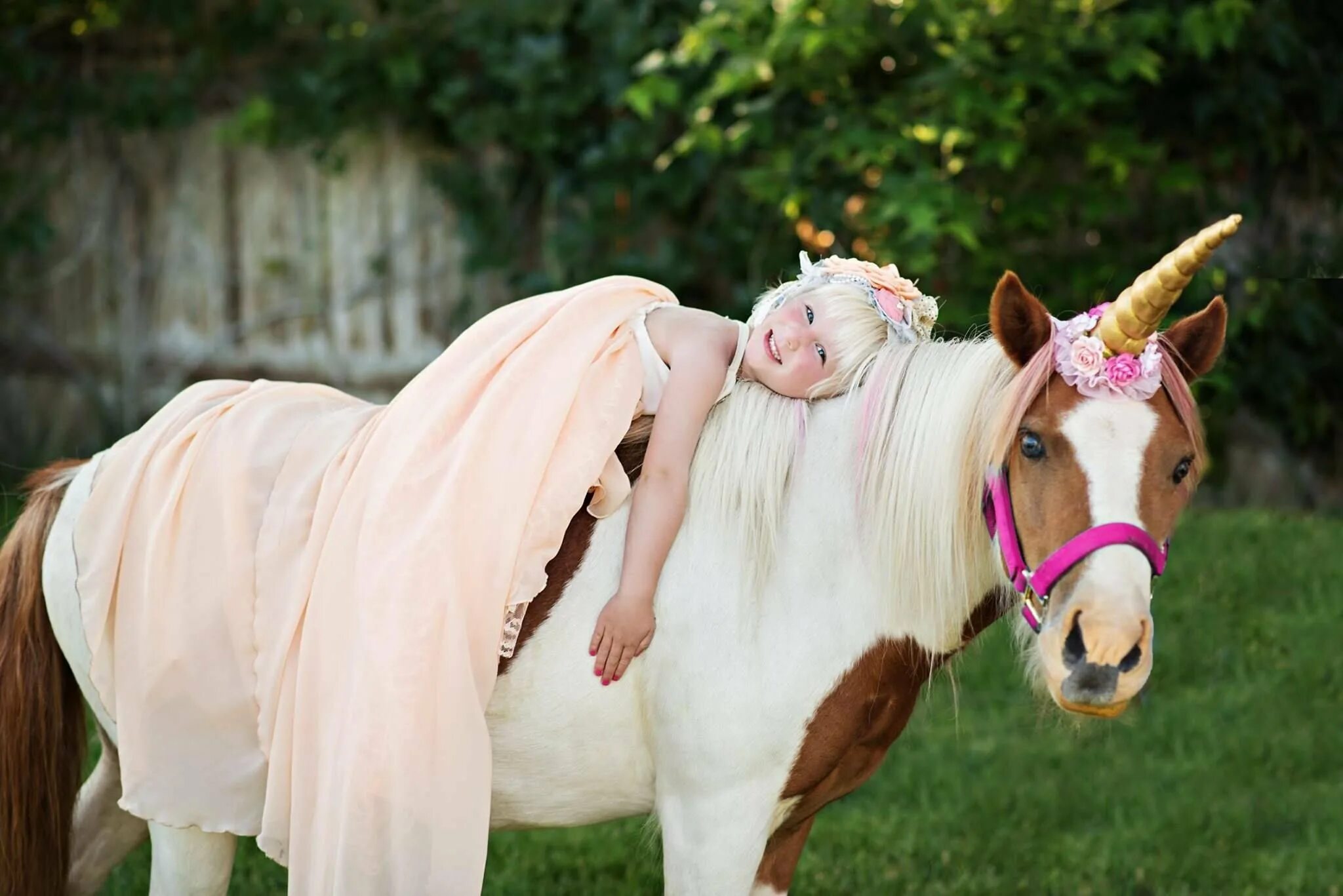 иди на рога в реальной жизни. лошадь «единорог». единорог реальный. самые красивые единороги. единорог настоящий.