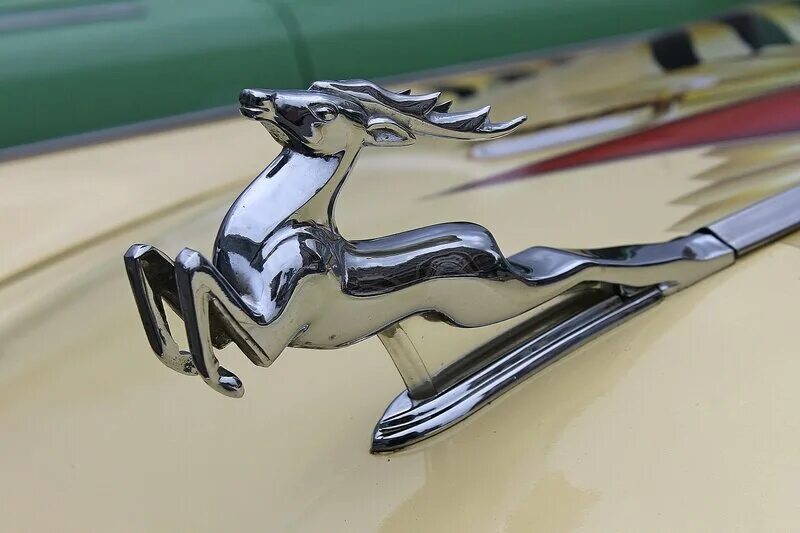 олень на волге газ 21. газ 21 волга 1970. олень на волге газ 21. волга 21 с оленем. волга 21 с оленем.