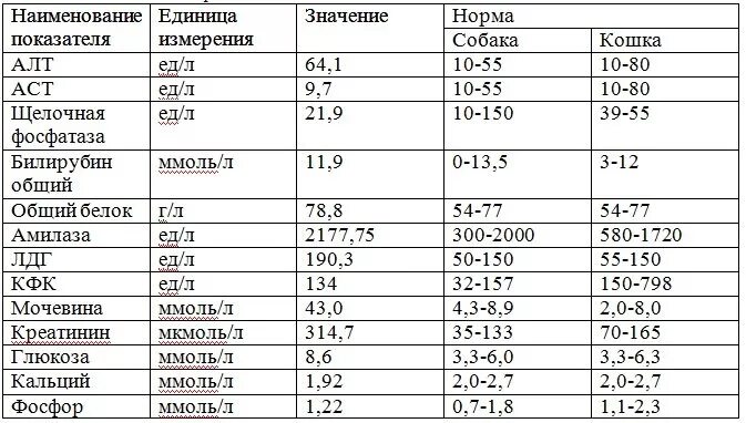 5 ед л. Норма щелочной фосфатазы у собак. Щелочная фосфатаза таблица нормы. Биохимия кошачьего анализа крови норма. Щелочная фосфатаза у собак показатели норма.