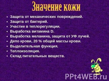 Что означает к кожа