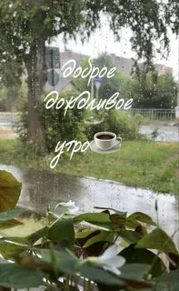 Доброе дождливое утро вторника