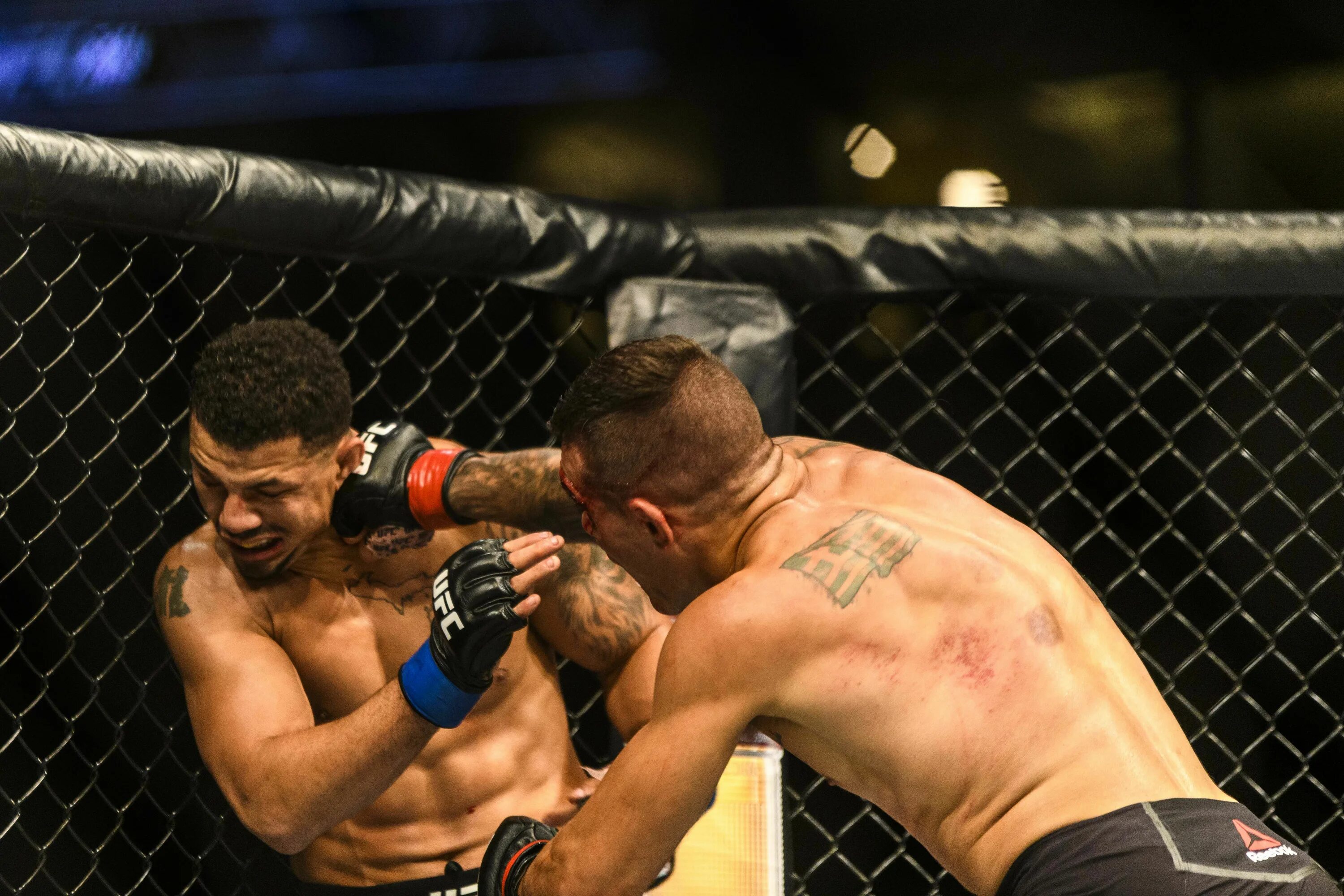 Где будут показывать ufc. Бойцовский остров ufc. бойцовский поединок рокки.