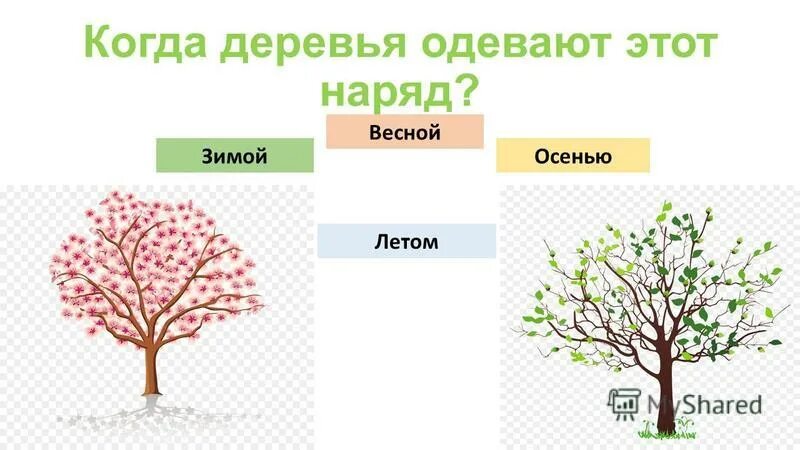 деревья одевают. деревья одевают. деревья одевают. украшение ствола дерева. наряди дерево.