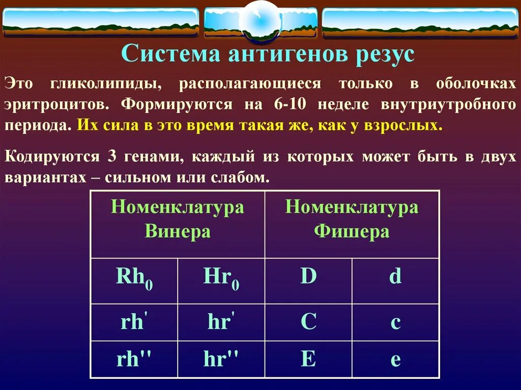 Группы крови по системе резус фактор. Группы крови по системе резус (rh -HR).. Антигены системы резус. Характеристика антигенов системы резус. Резус значение