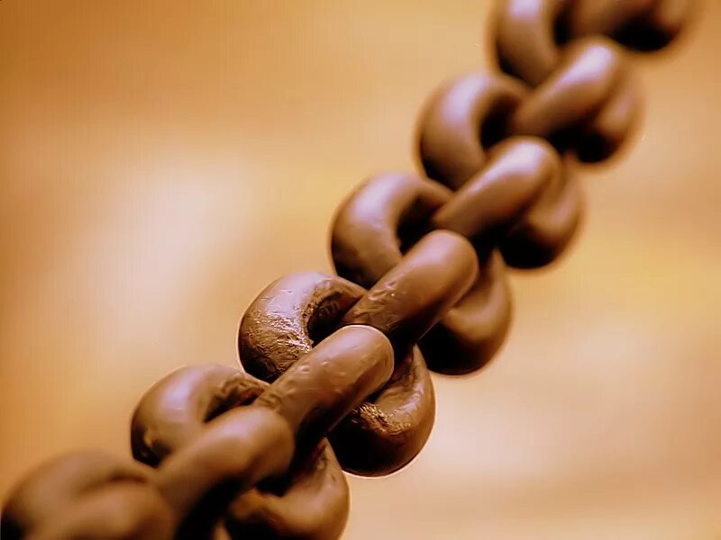 The chain