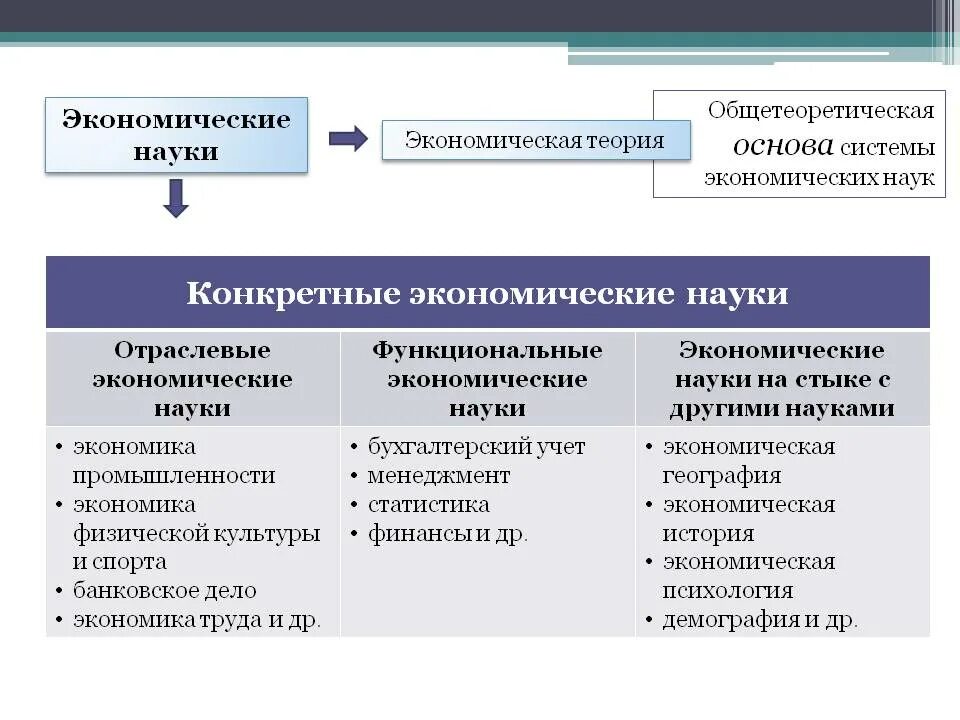 Экономика образования относится к. Функциональные экономические науки. Виды экономических наук. Межотраслевые экономические науки. Экономическая наука.