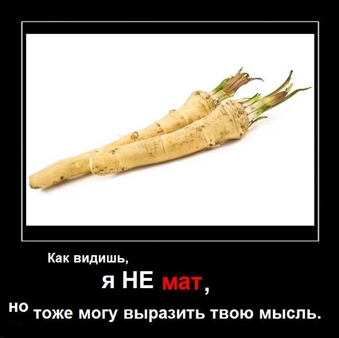 Хрен ничего. Хрен. хрен юмор. хрен демотиватор. хрен это ругательство.