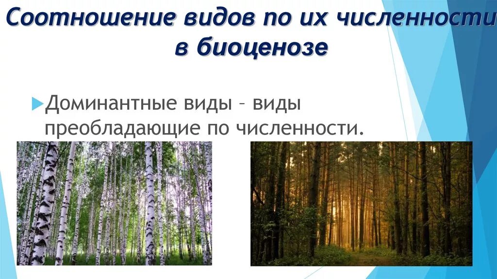 Видовая структура биоценоза число видов. Доминантные виды в биоценозе. Видовой состав биоценоза. Доминантные виды в биоценозе примеры.