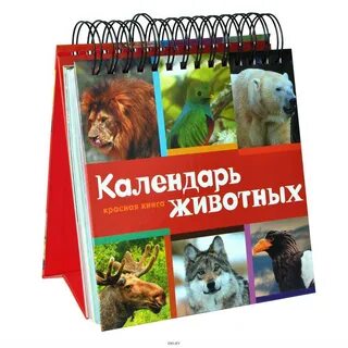 Книга календарь