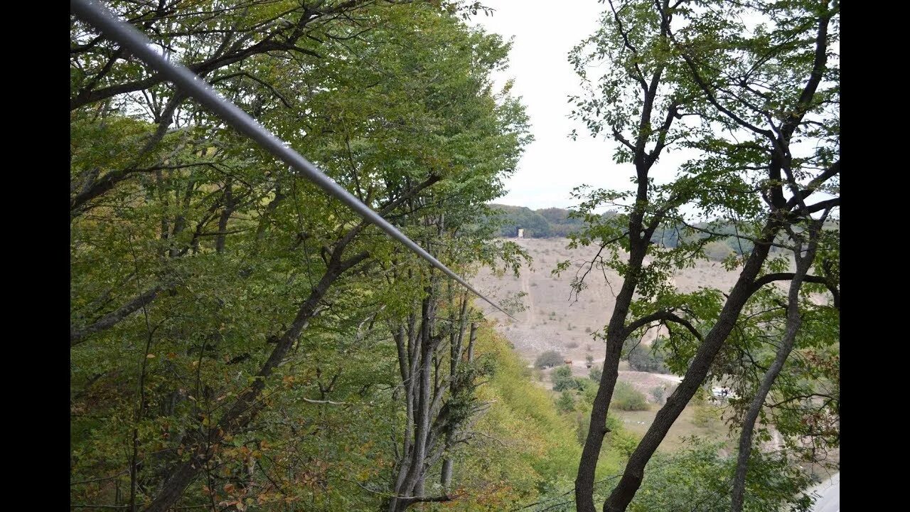 Дубовая роща рязань. Дубовая роща в симферополе. Дубовая роща элиста. Дубовая роща в дагестане. Дубовые рощи в россии.