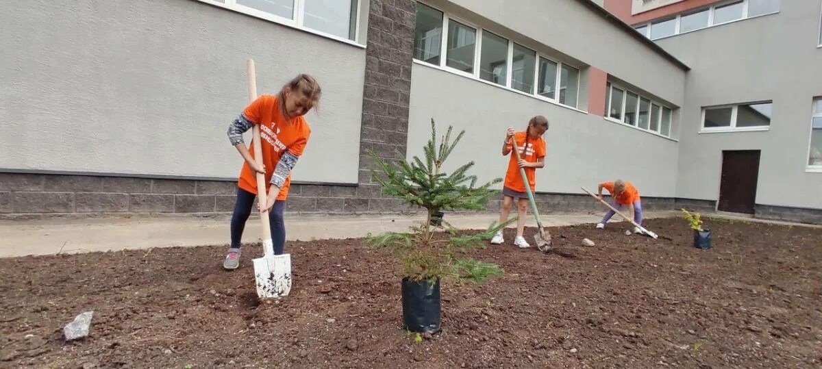 Школьников посадят на дистанционное обучение. Посадка деревьев в школьном дворе. Двор за школой. Исследуют школьный двор. Весенние мероприятия по благоустройству школьного двора.