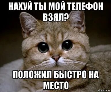 Сука это не то
