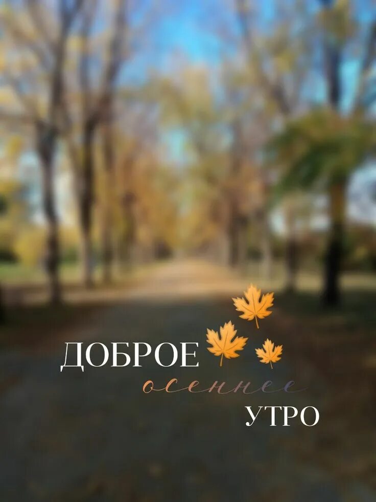 Доброе утро осень счастье картинки
