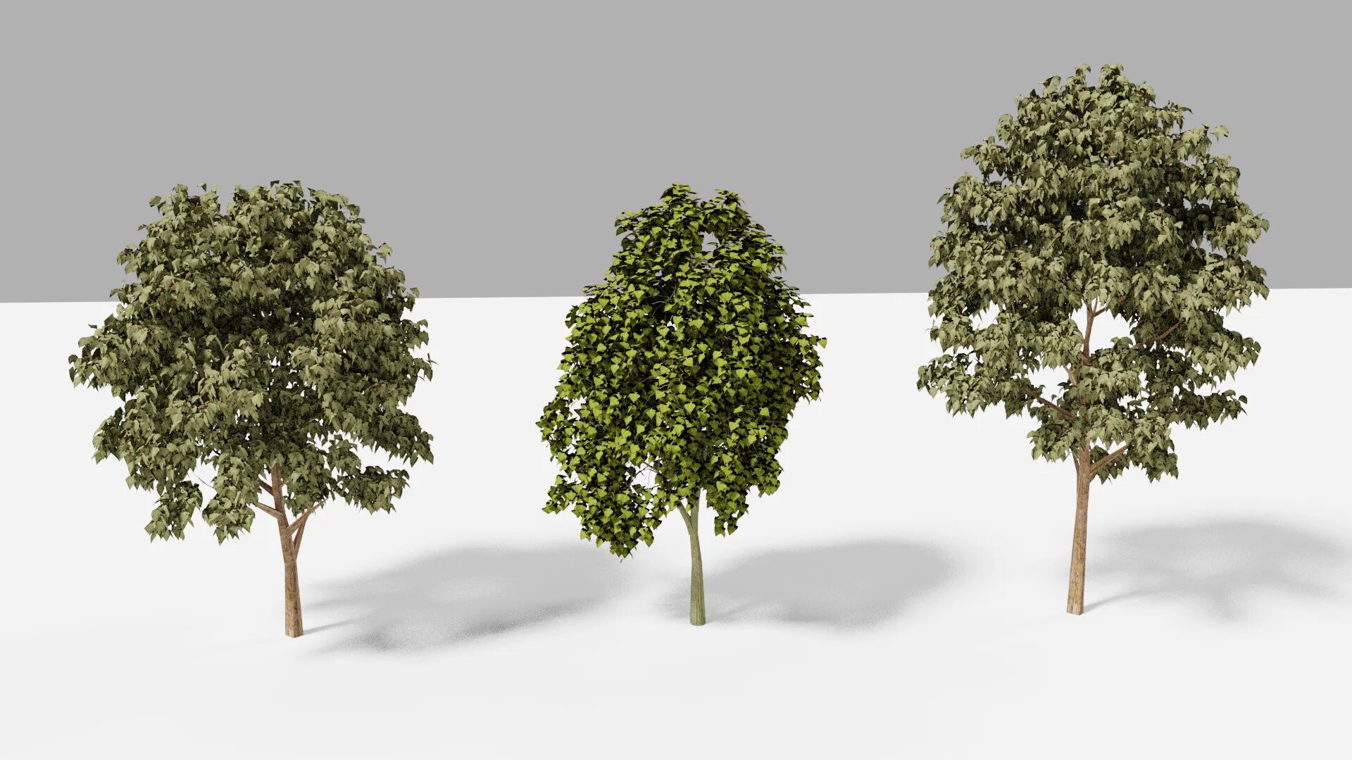 Деревья в 3ds Max. Моделирование дерева 3ds Max. Дерево модель 3ds Max. Дерево для 3д Макс. Дерево в 3 d