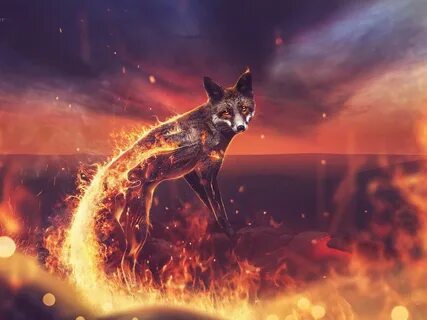 Fire fox abstract-Design Thmem HD Wallpaper. 
