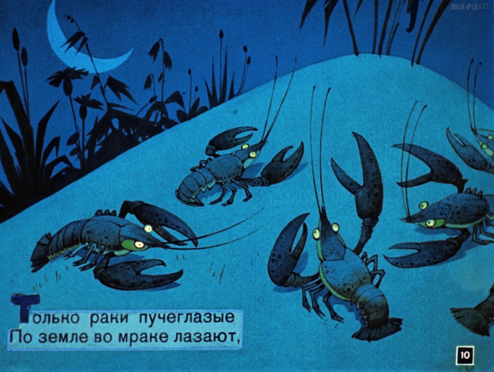 Рак в темноте