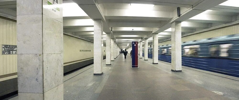 Метро кузьминки самые. Станция метро кузьминки. Станция кузьминки московского метрополитена. Платформа метро кузьминки. Кузьминки московский метрополитен.